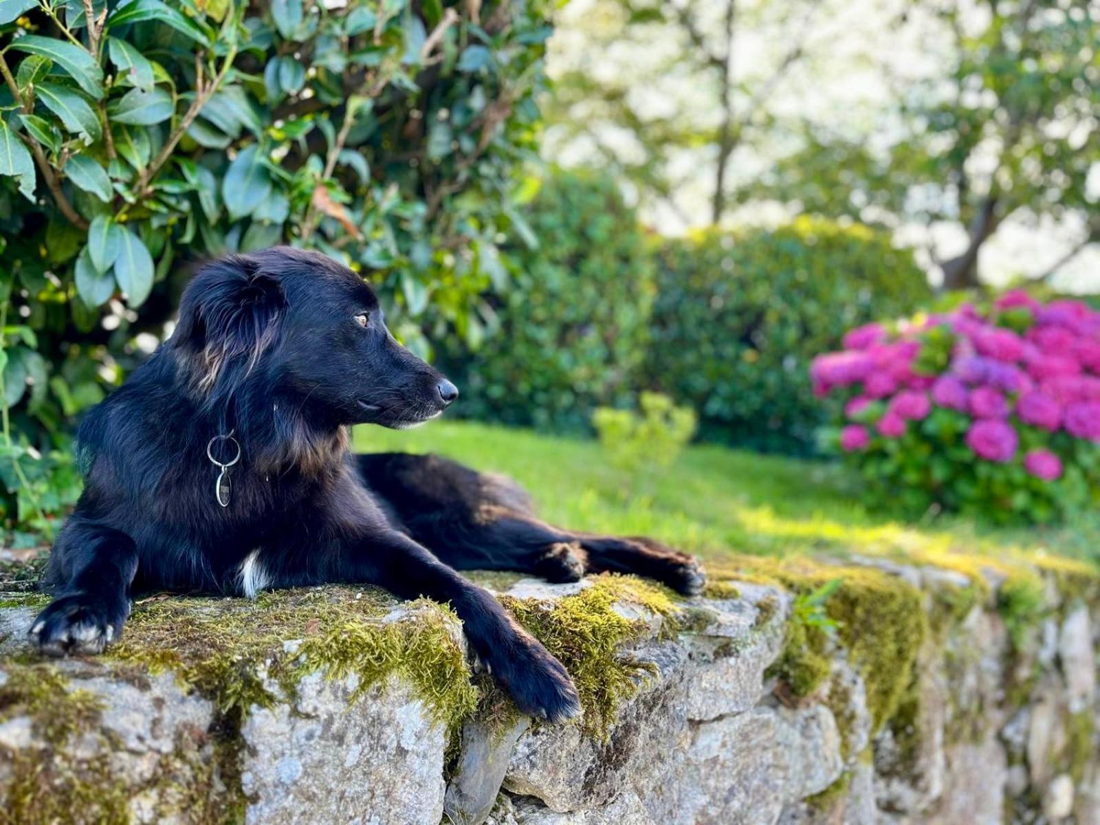 Baskoparadis I Eco-Gites I Calme I Vue I Anes I Jardin I Montagne I Nature Louhossoa Exterior photo