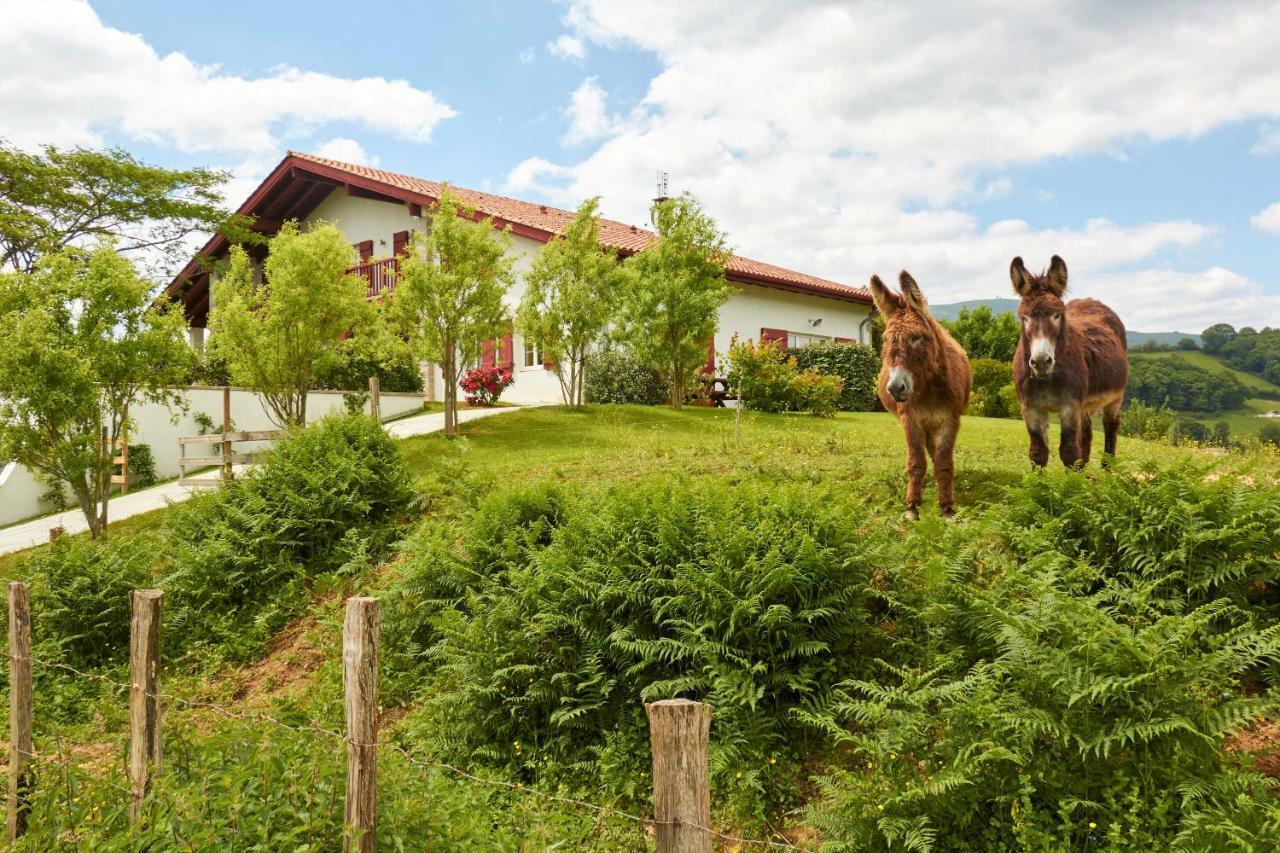 Baskoparadis I Eco-Gites I Calme I Vue I Anes I Jardin I Montagne I Nature Louhossoa Exterior photo